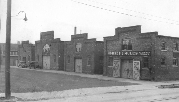 stockyards horse barns.jpg